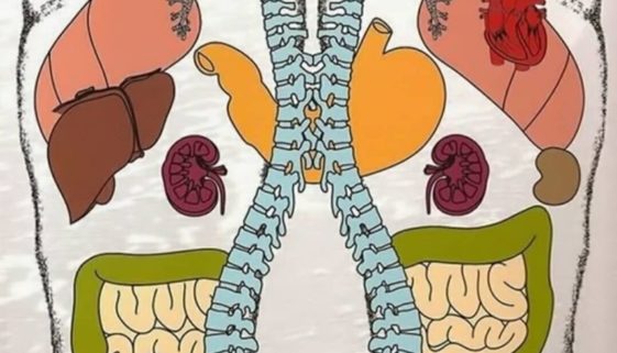 riflessologia